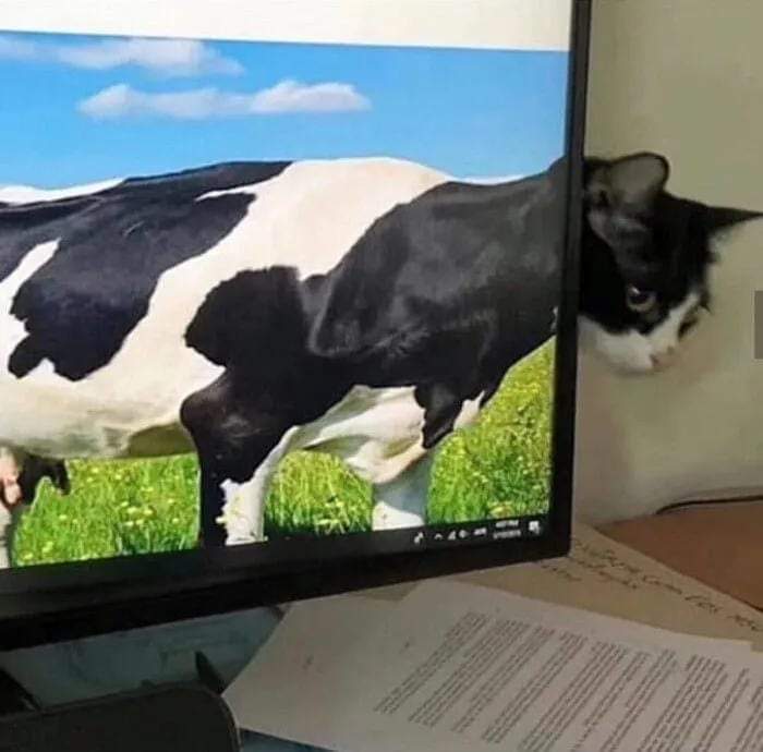 Imagem correspondente à vaga